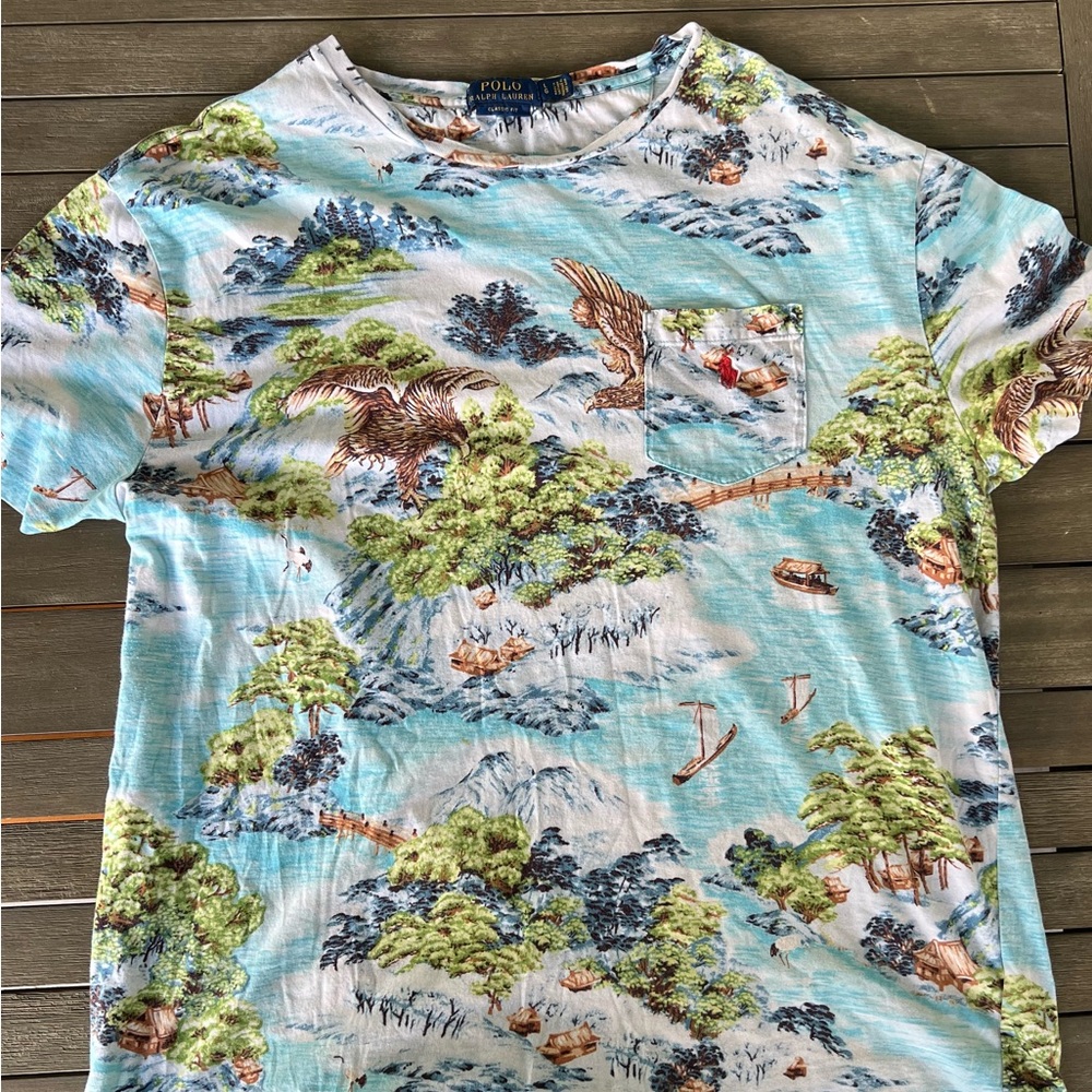 Ralph Lauren Blue and Brown Scenic Tee